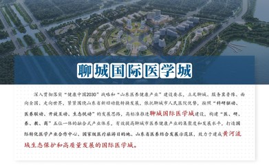 東灘顧問順利推進(jìn)《聊城醫(yī)養(yǎng)健康城概念策劃》項(xiàng)目中期匯報(bào)工作